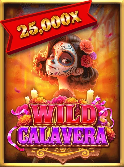 Live Blackjack table cover